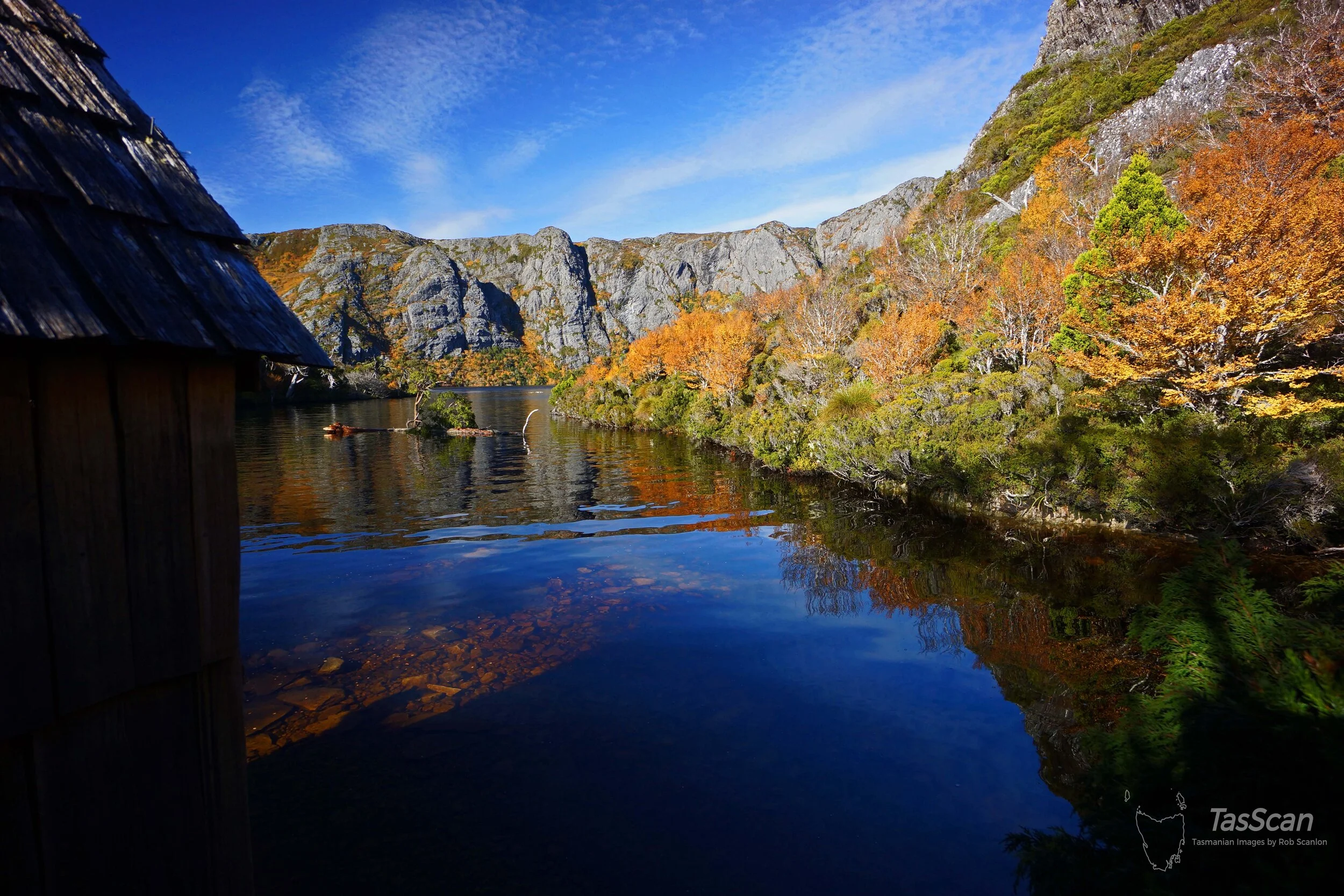 170 - Crater Lake Fagus