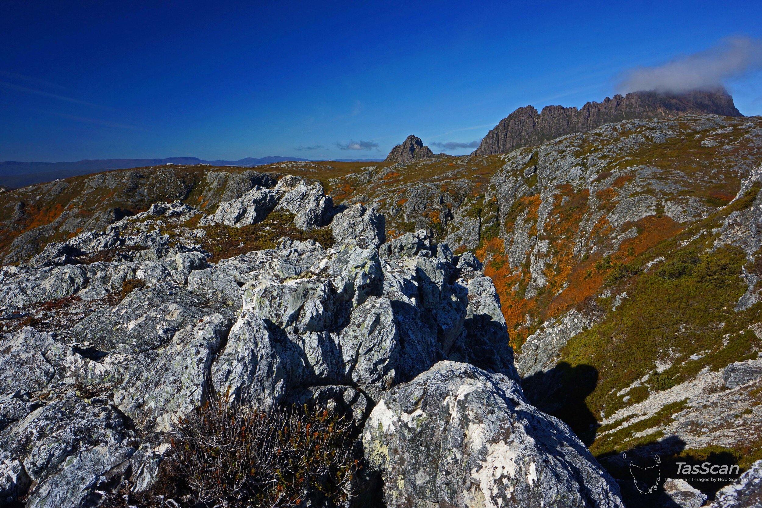 171 Crater Peak Fagus