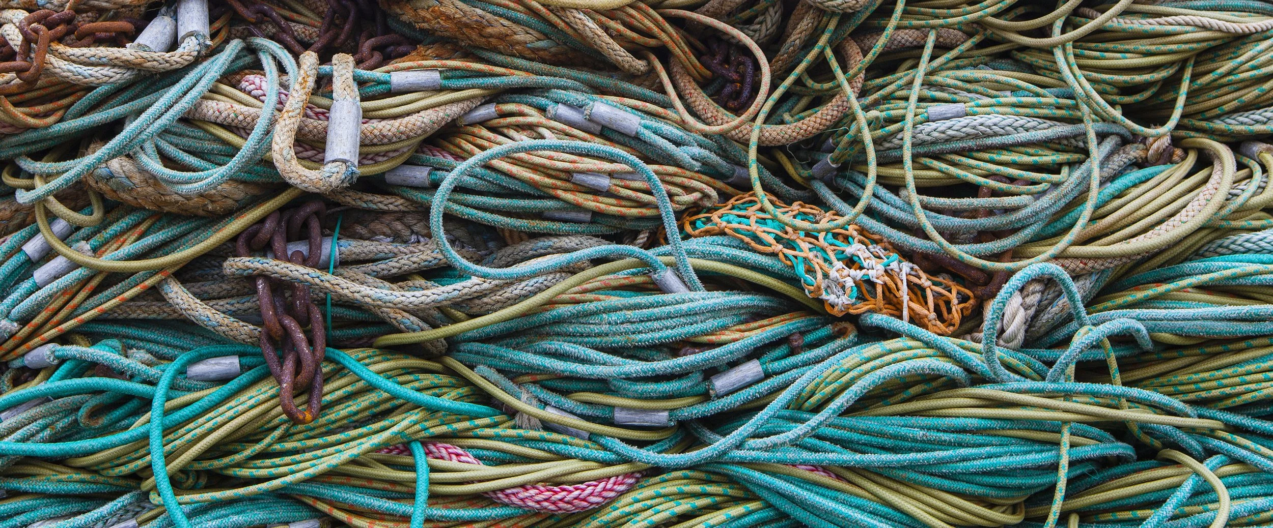 Transition Based Leadership