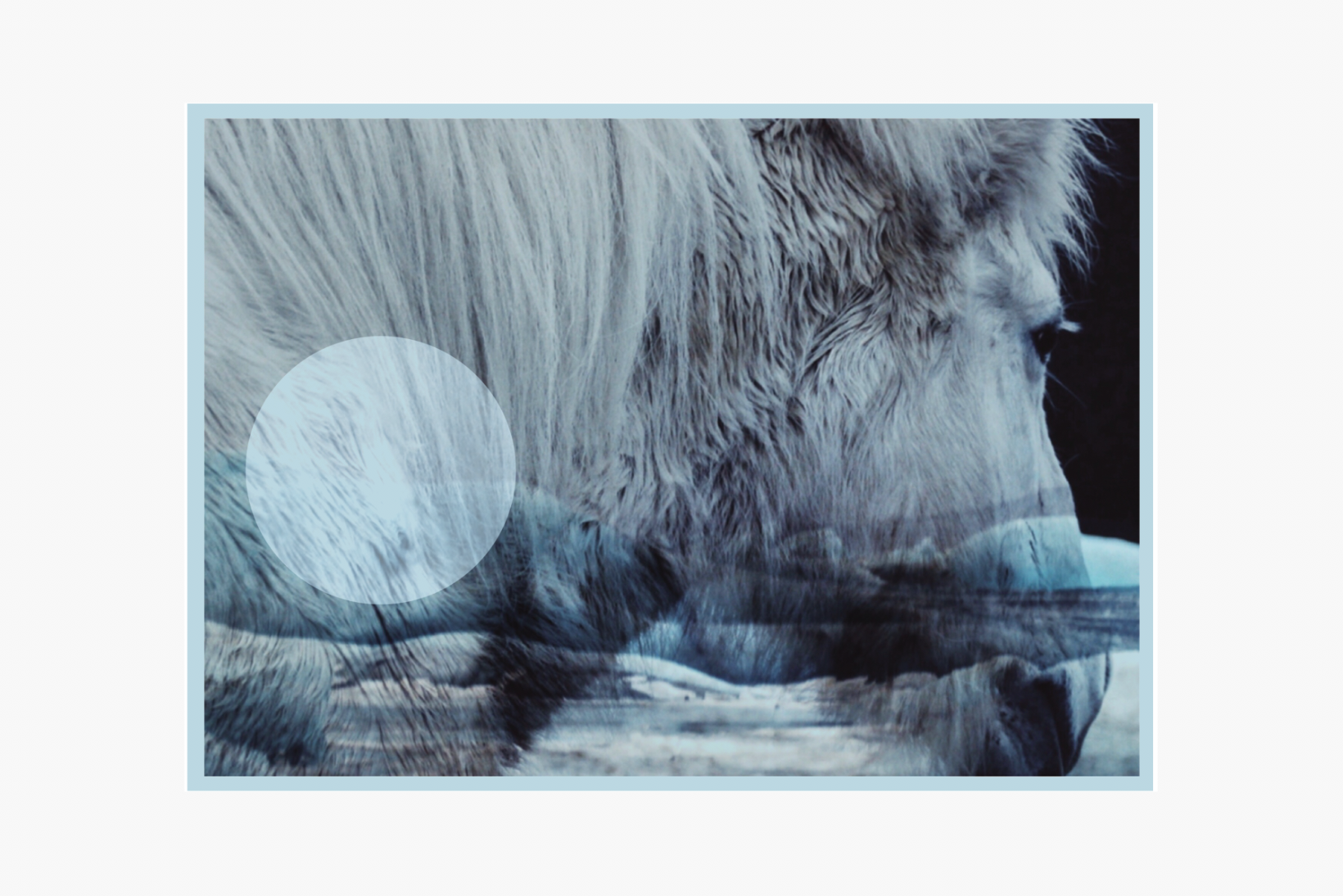 Screen Shot 2020-06-24 at 10.19.16 pm.png