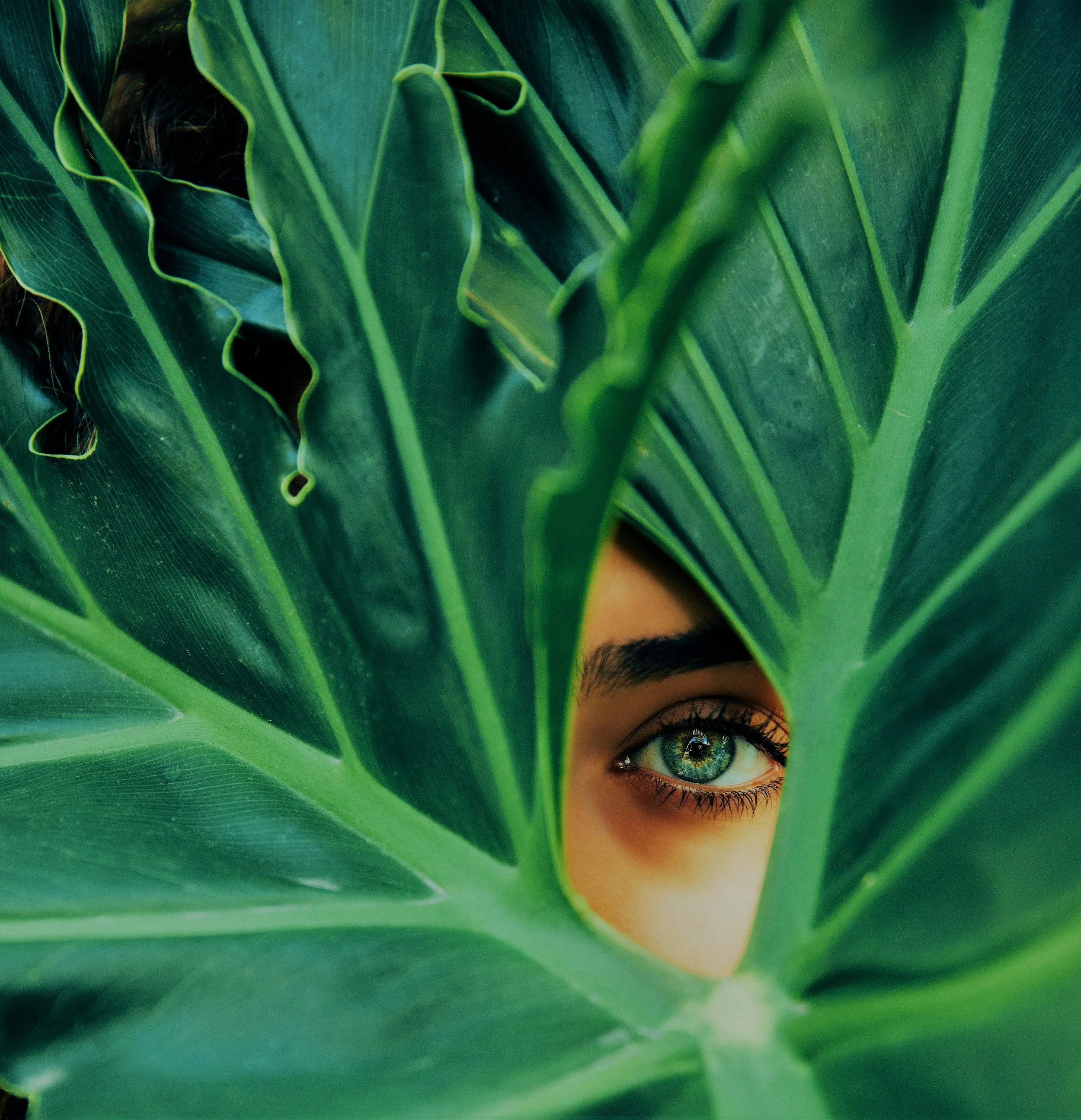have you been greenwashed.jpg