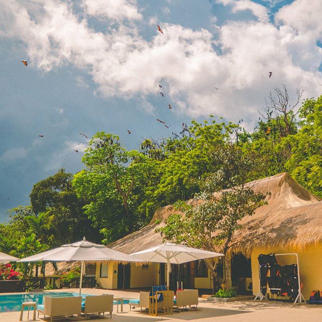 found the bat hideout.
.
.
.
#coron #philippines #travel #palawan
