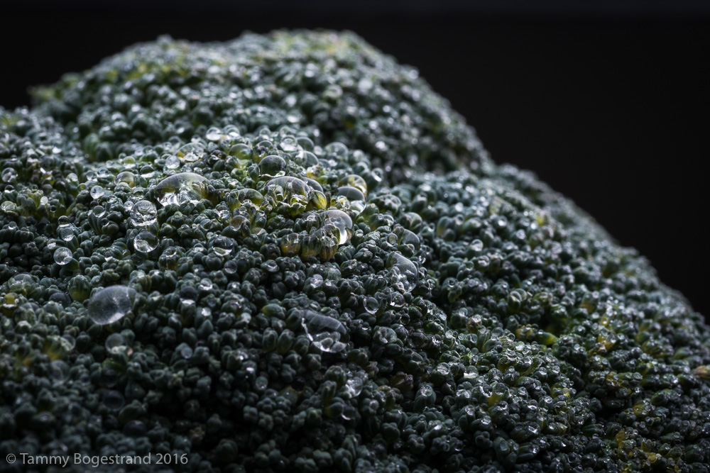 Broccoli-008-1.jpg