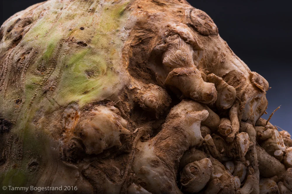 celeriac-16-1.jpg