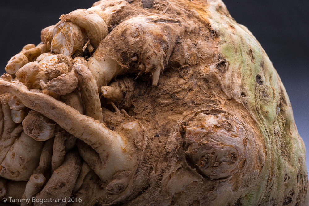 celeriac-9-1.jpg