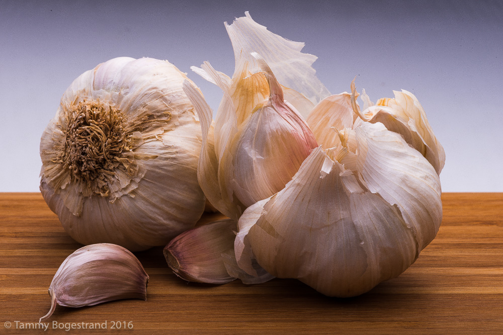 garlic-044-1.jpg