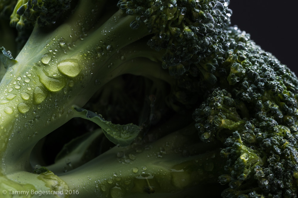 Broccoli-017-1.jpg