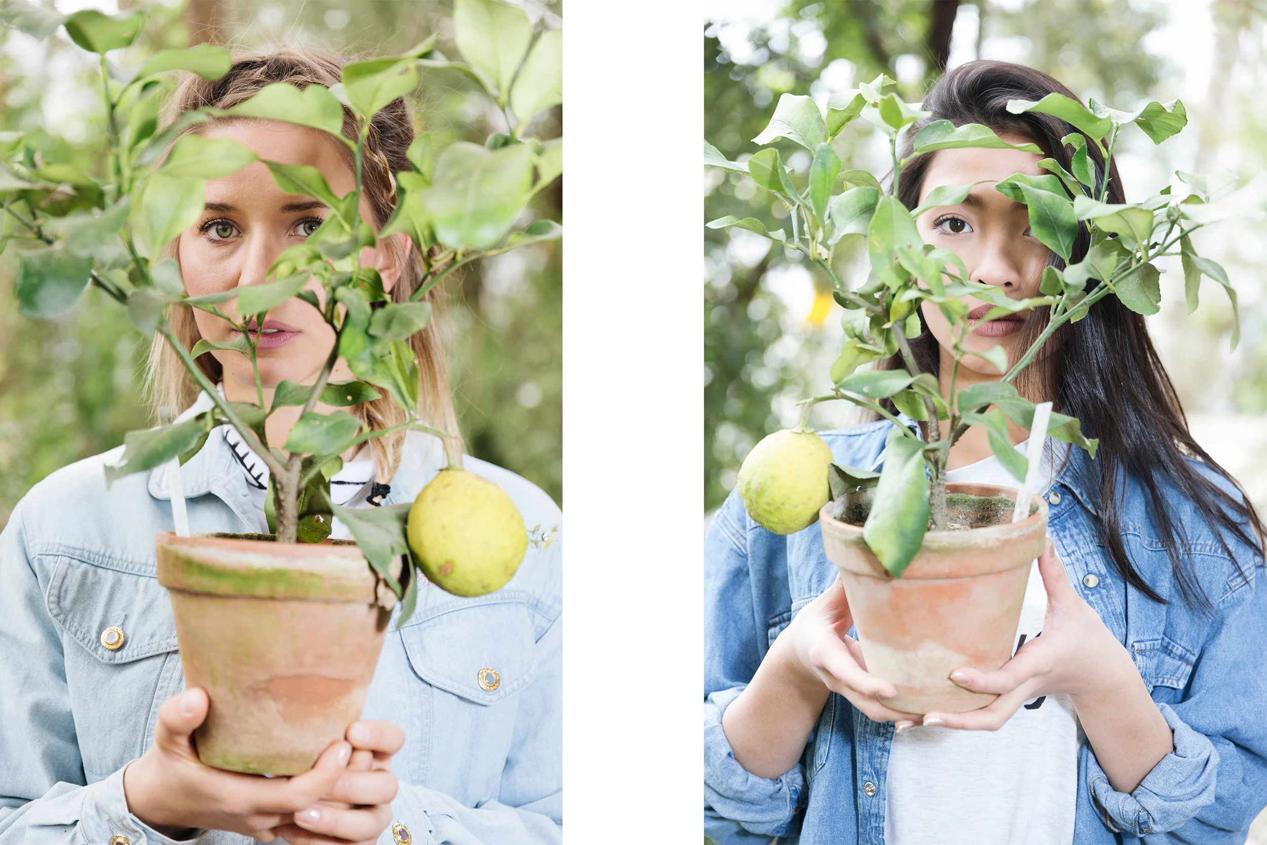 Website_In_Bloom.jpg