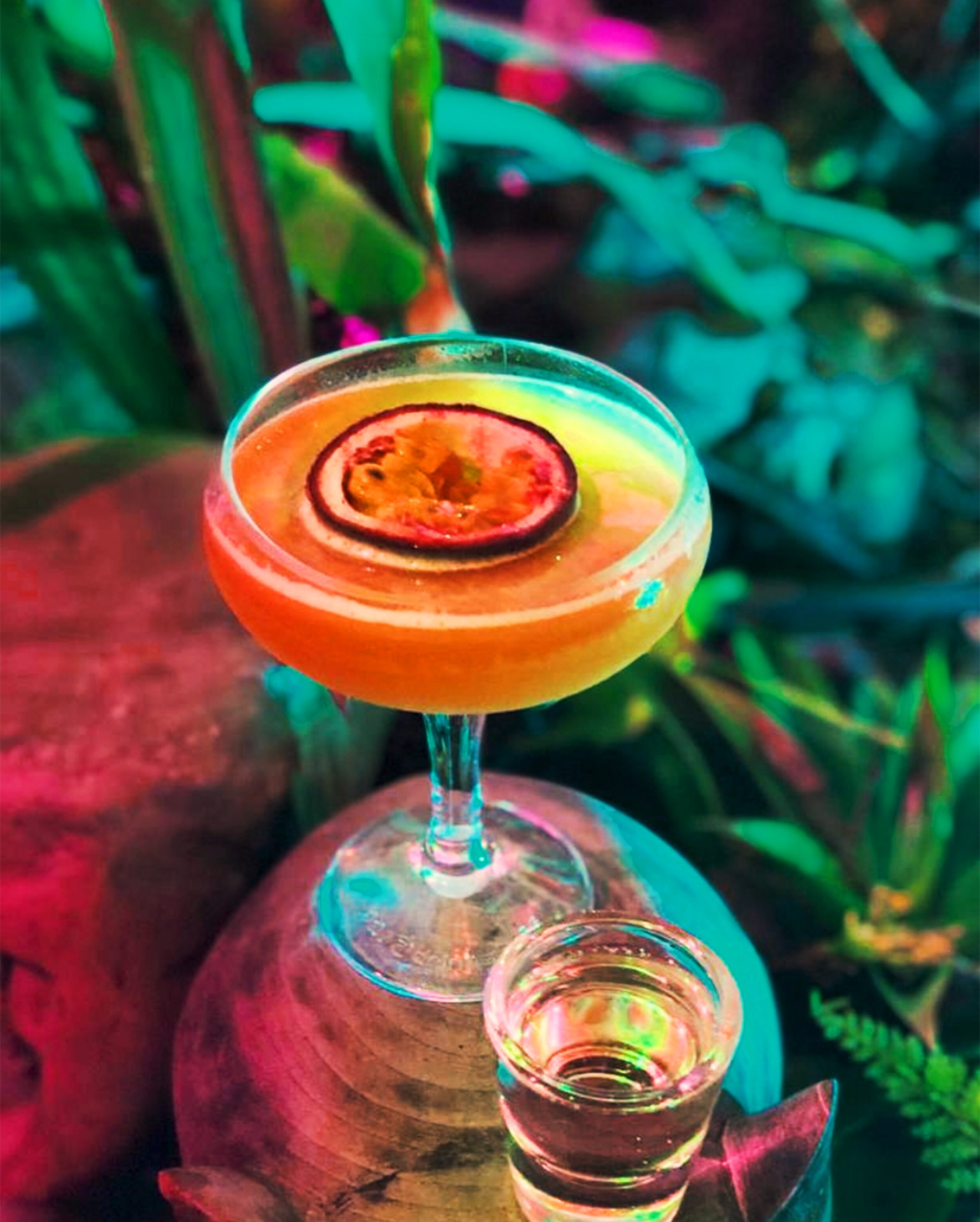 Gallery — The Shisha Garden