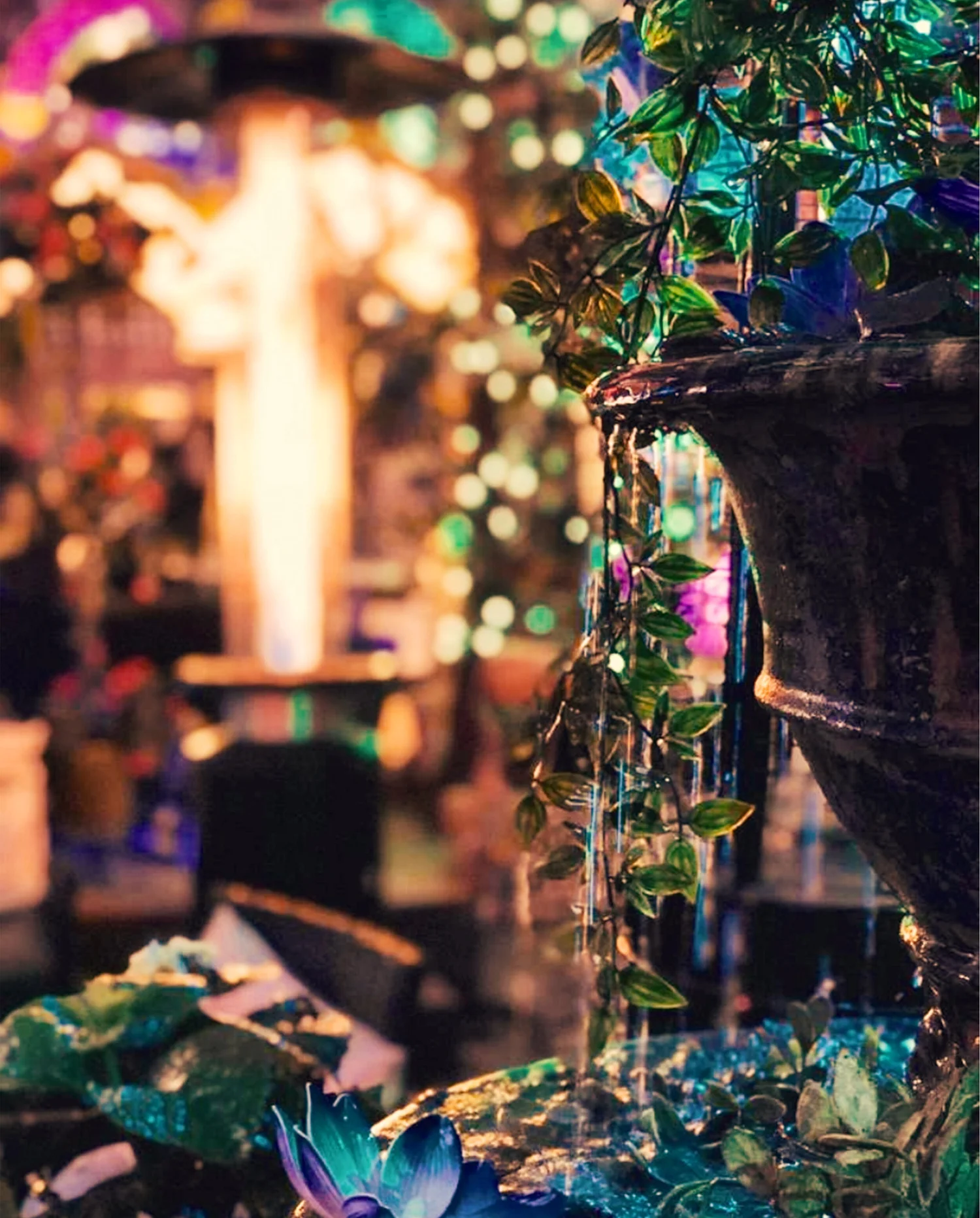 Gallery — The Shisha Garden