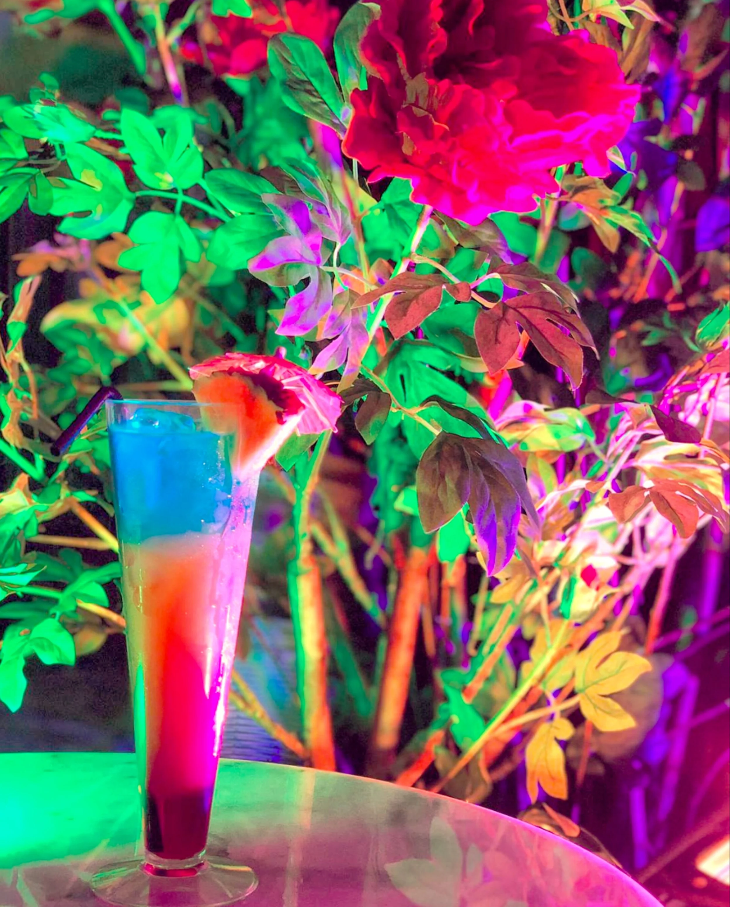 Gallery — The Shisha Garden