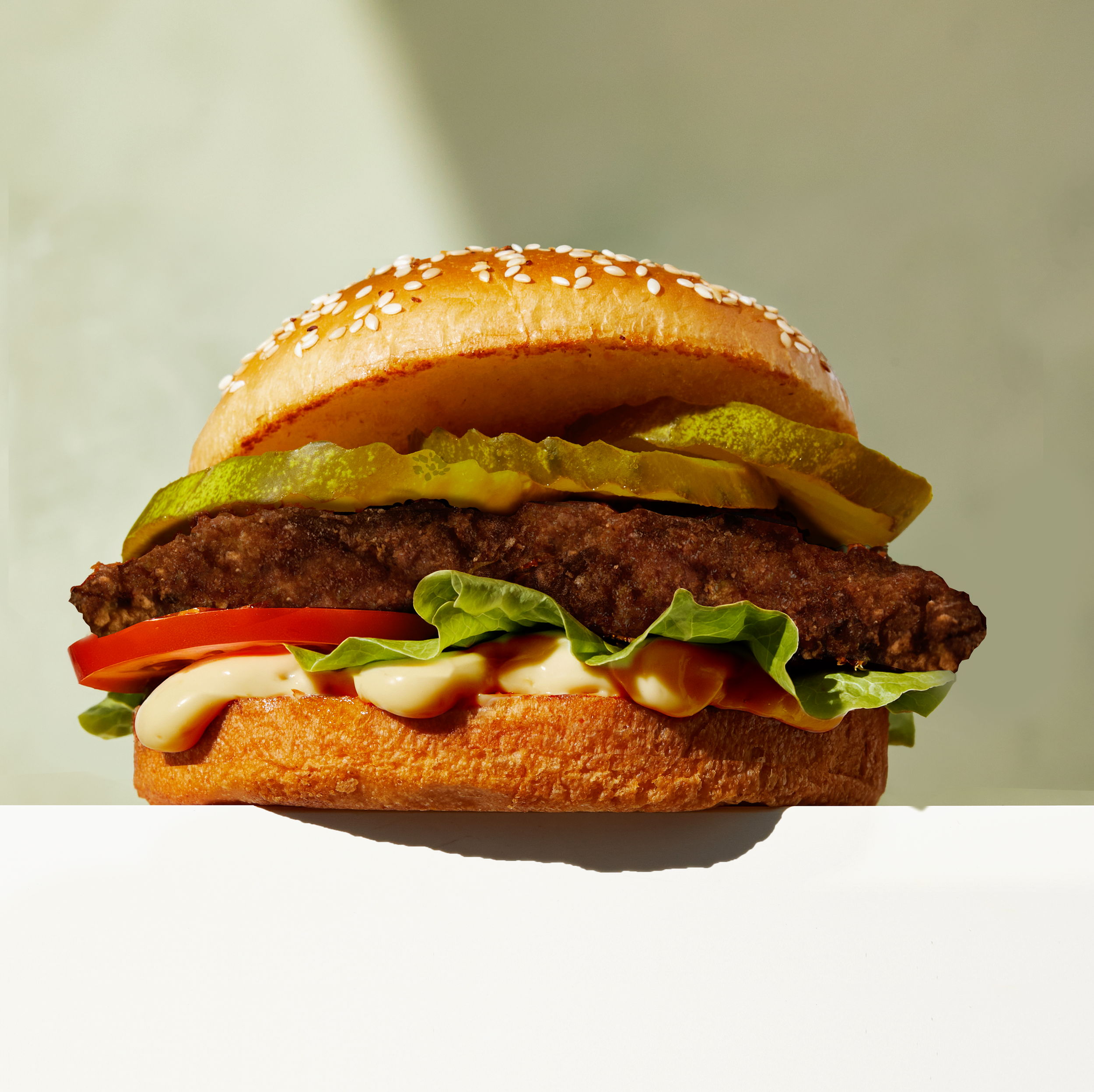 CHICKEN BURGER-x3.png