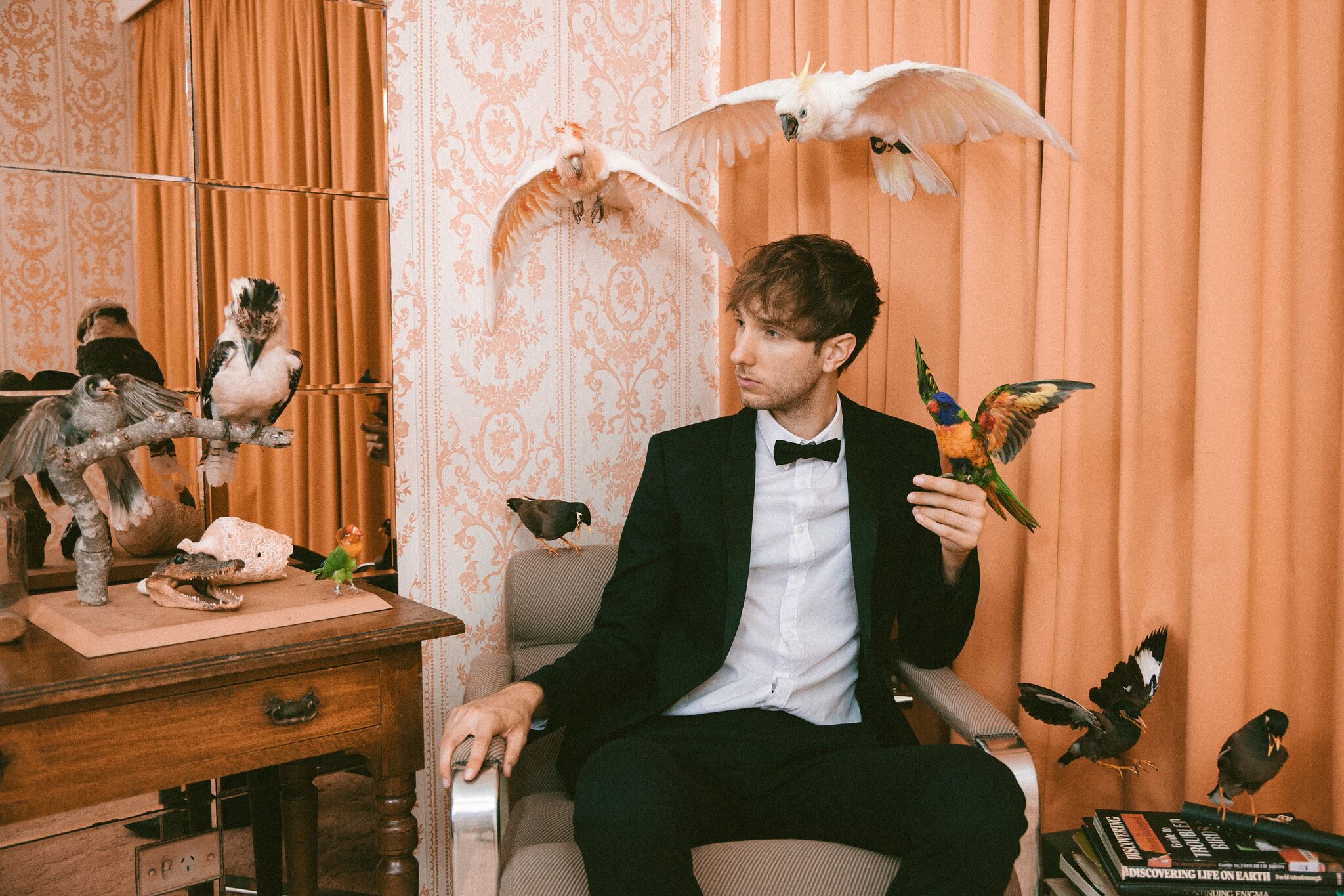 Jez_battlebirds_IMG_2943_medium_preview.jpeg