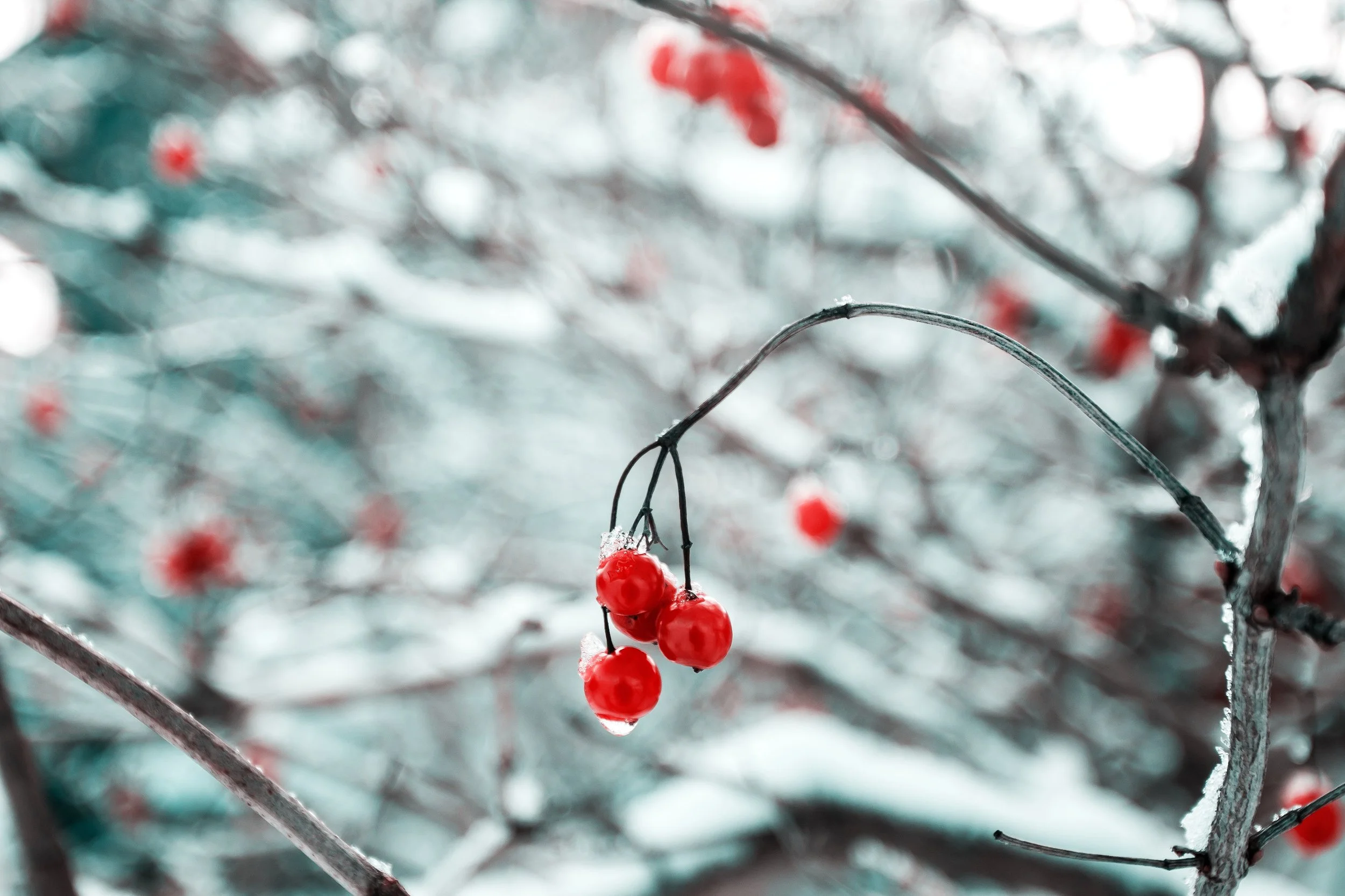 Monday, December 4