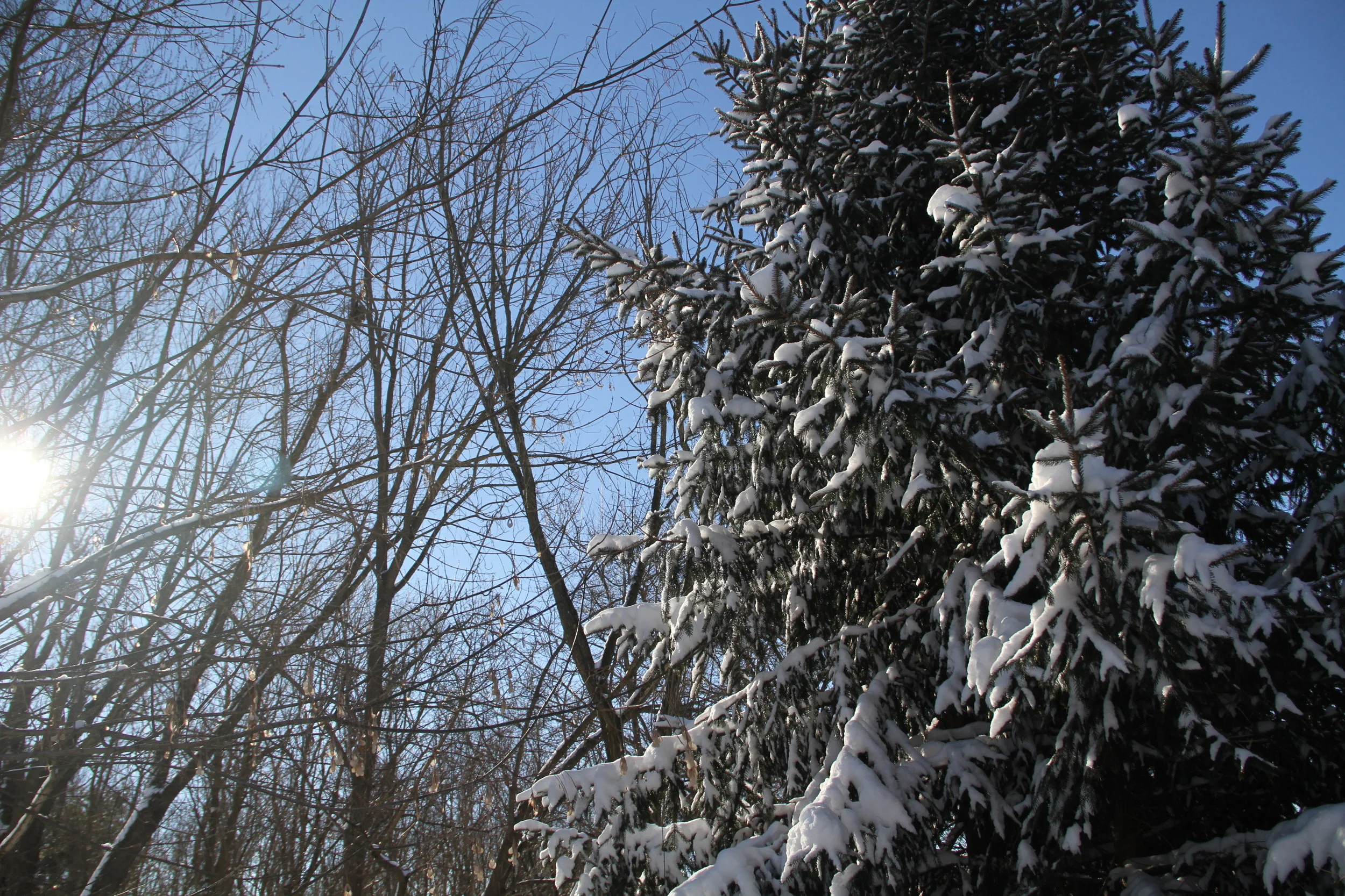 Tuesday, December 25