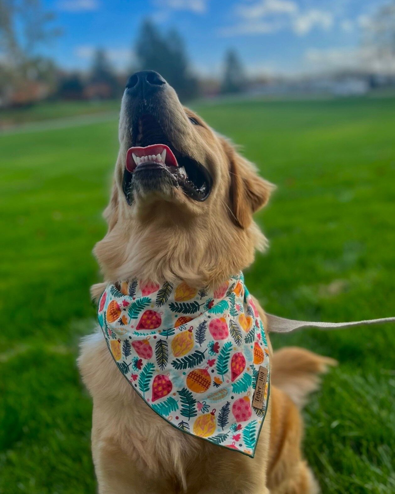 Happy howl-idays! As you get together your holiday outfits, let your pup get dressed up with you in their own! No matter what you celebrate, Teller Hill has lots of choices that will have your pet looking great and feeling comfortable in our handmade