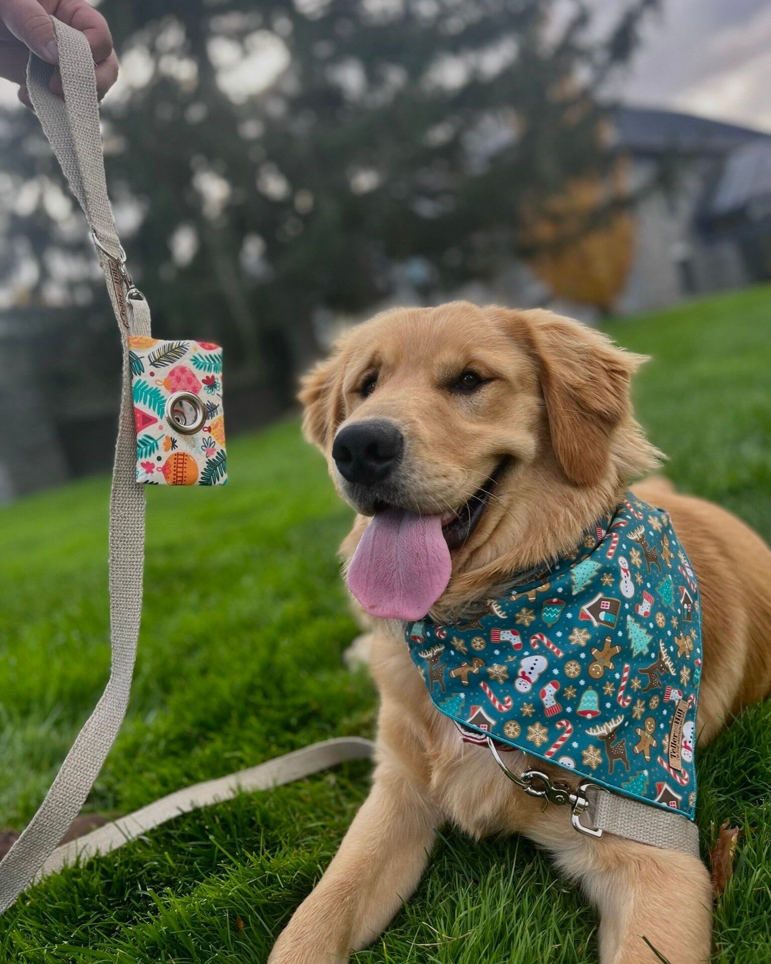 Can everything please be holiday themed? Creme Brulee thinks so! From bandanas to toys to bag holders and more, we&rsquo;ve got your holiday style needs covered! 

The last day to order items in time for the holidays with standard shipping is Decembe