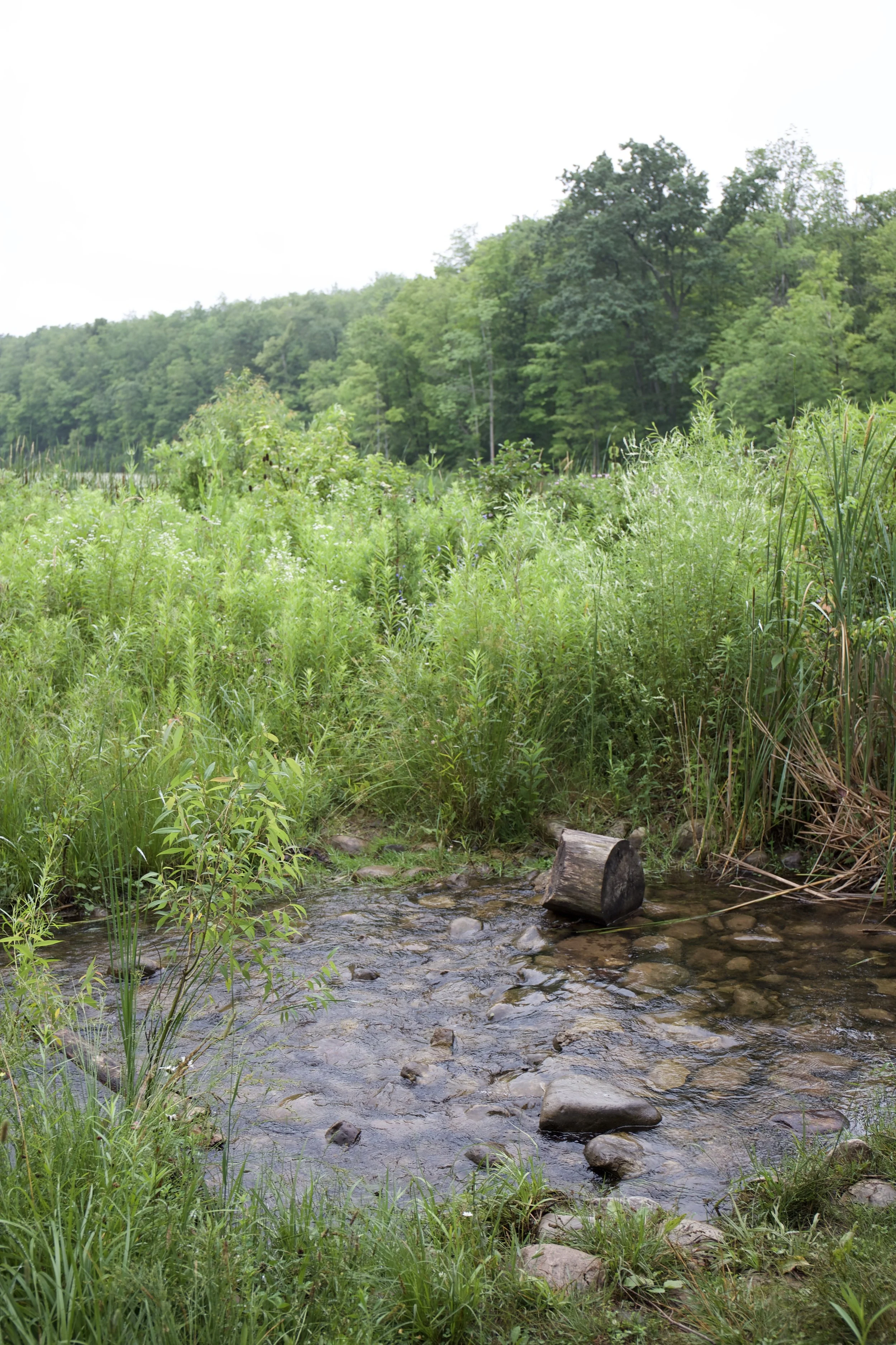 Current Path of Second Creek