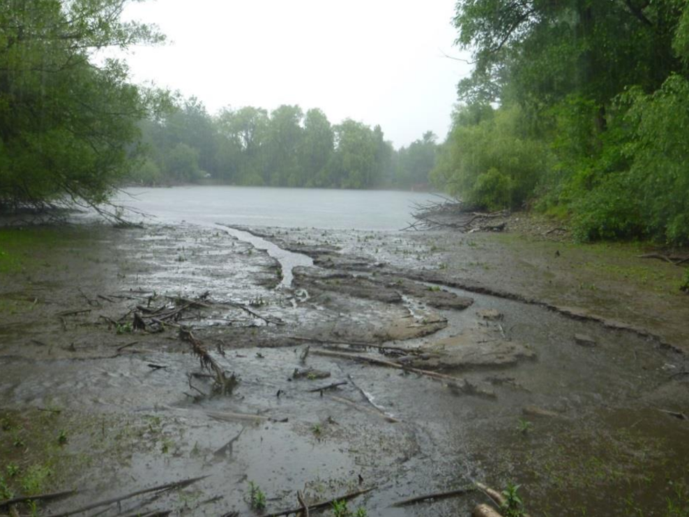 Second Creek Restoration - August 2017