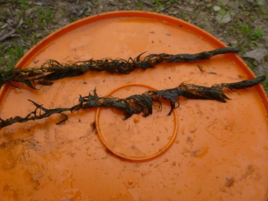 Second Creek Restoration - August 2017