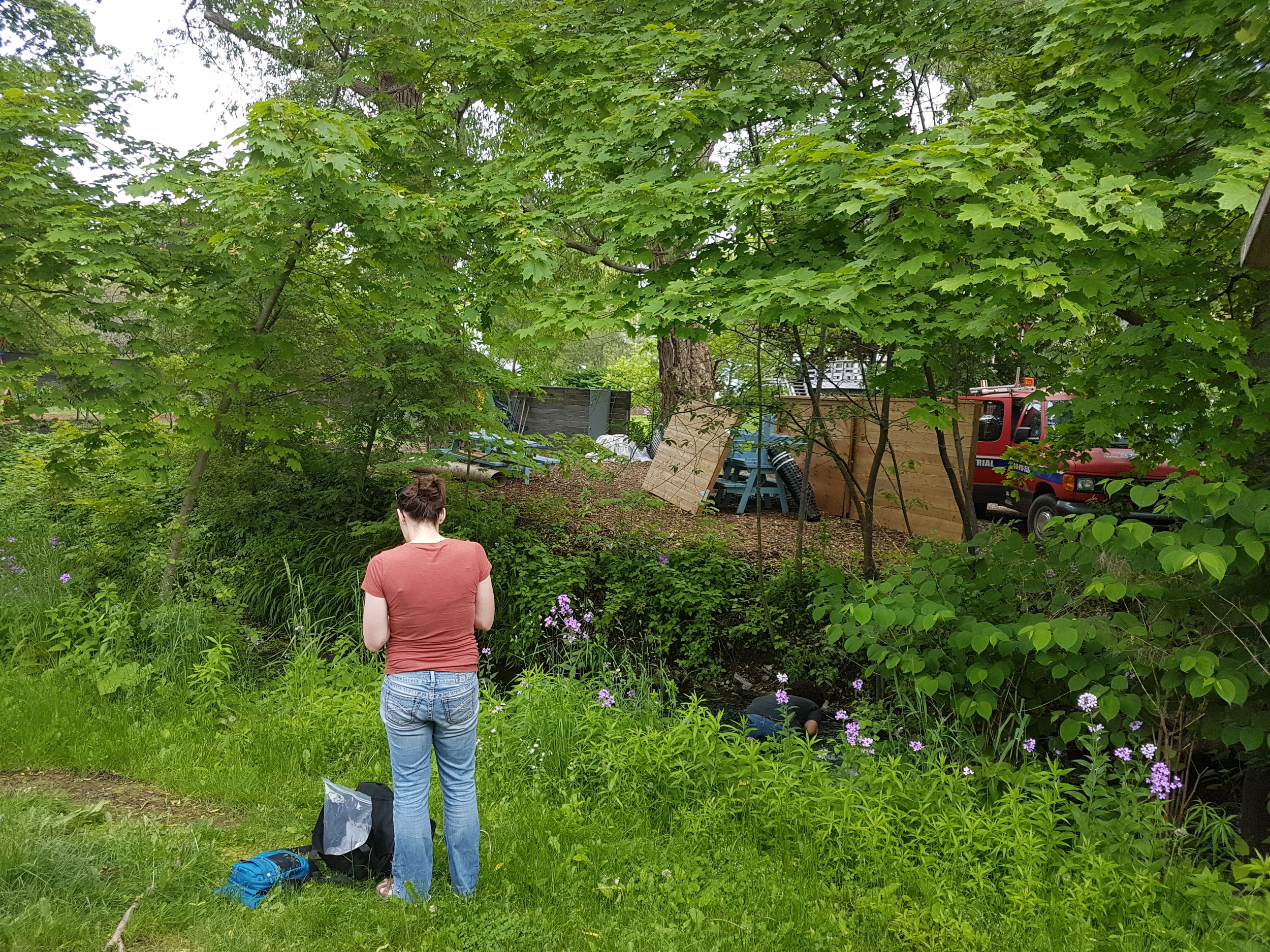 Nearby Creek - Wellington, Ontario - May 2017