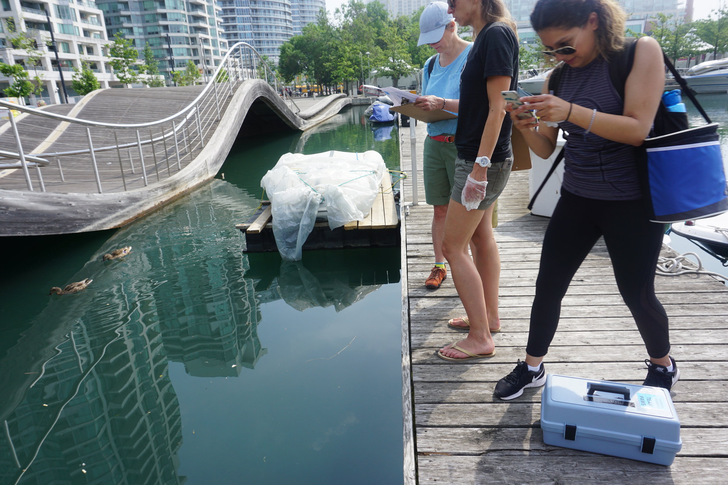 Volunteer Samplers - Toronto Harbour - August, 2017