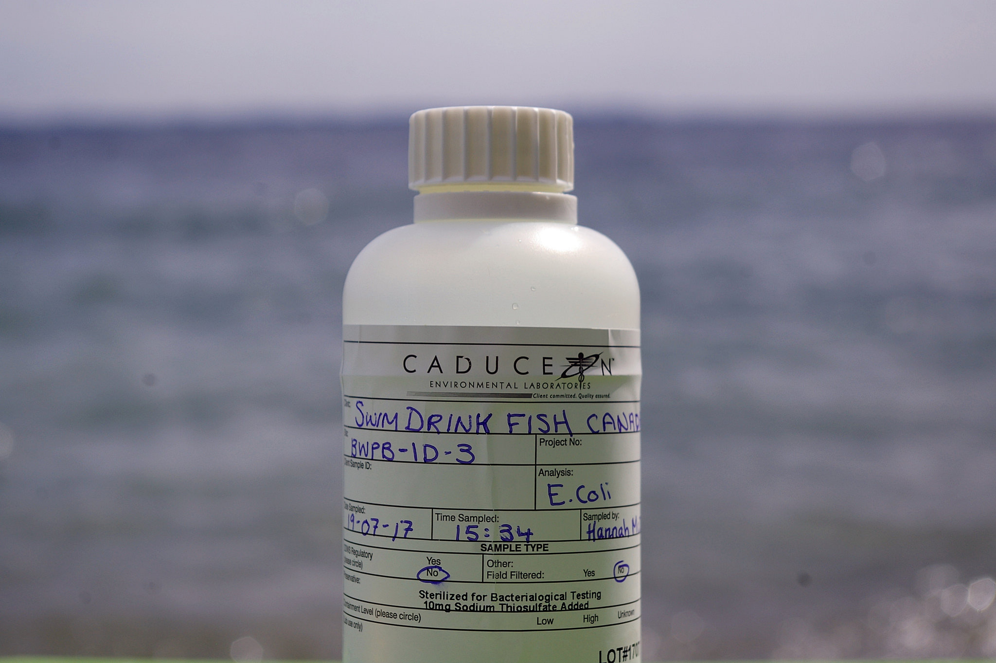  Example of a water sample taken this summer at Breakwater Park. 