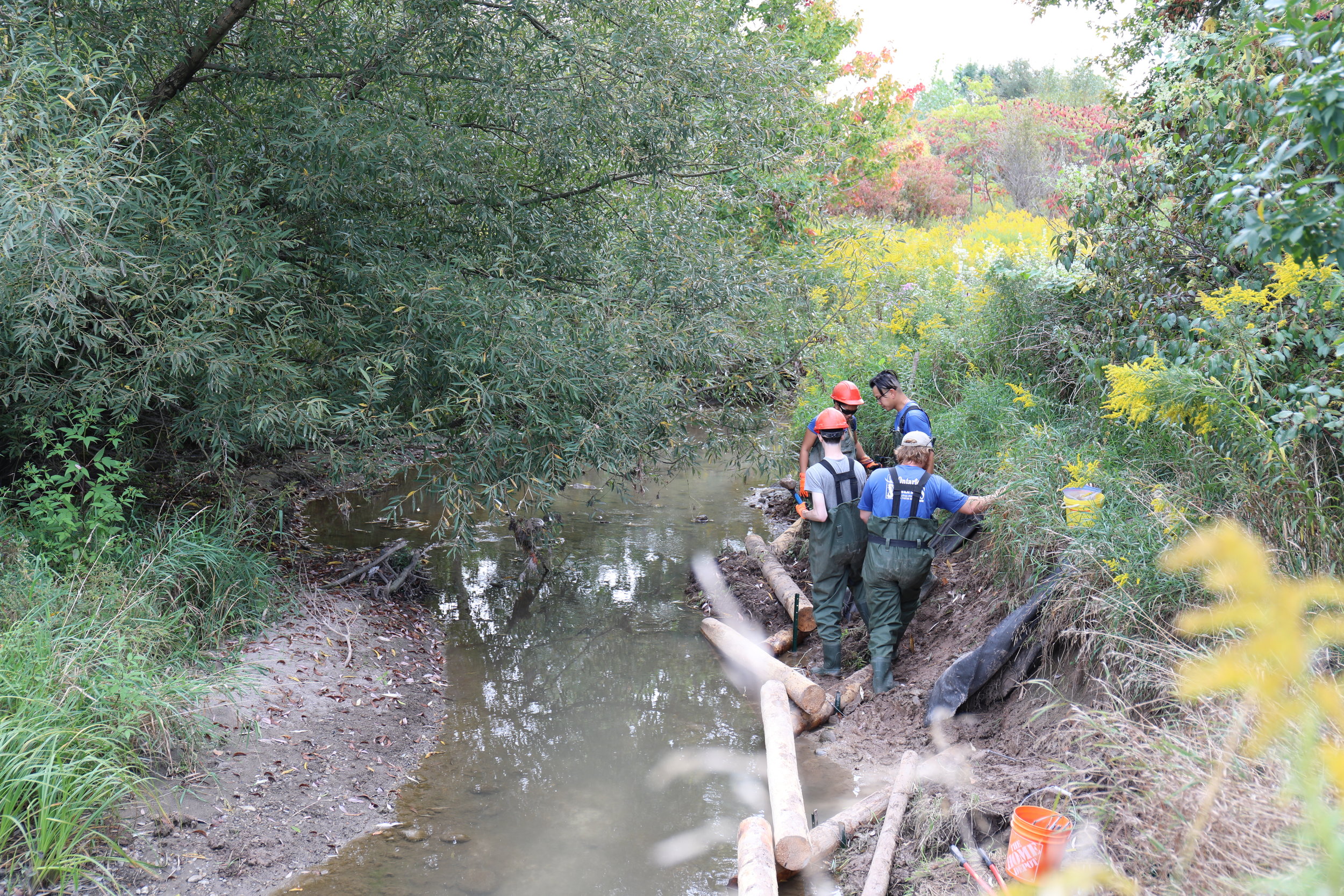 Fletcher's Creek Restoration Work - 2017