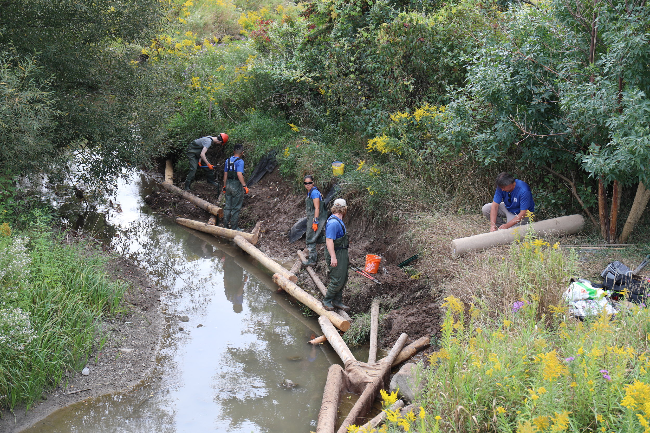 Fletcher's Creek Restoration Work - 2017