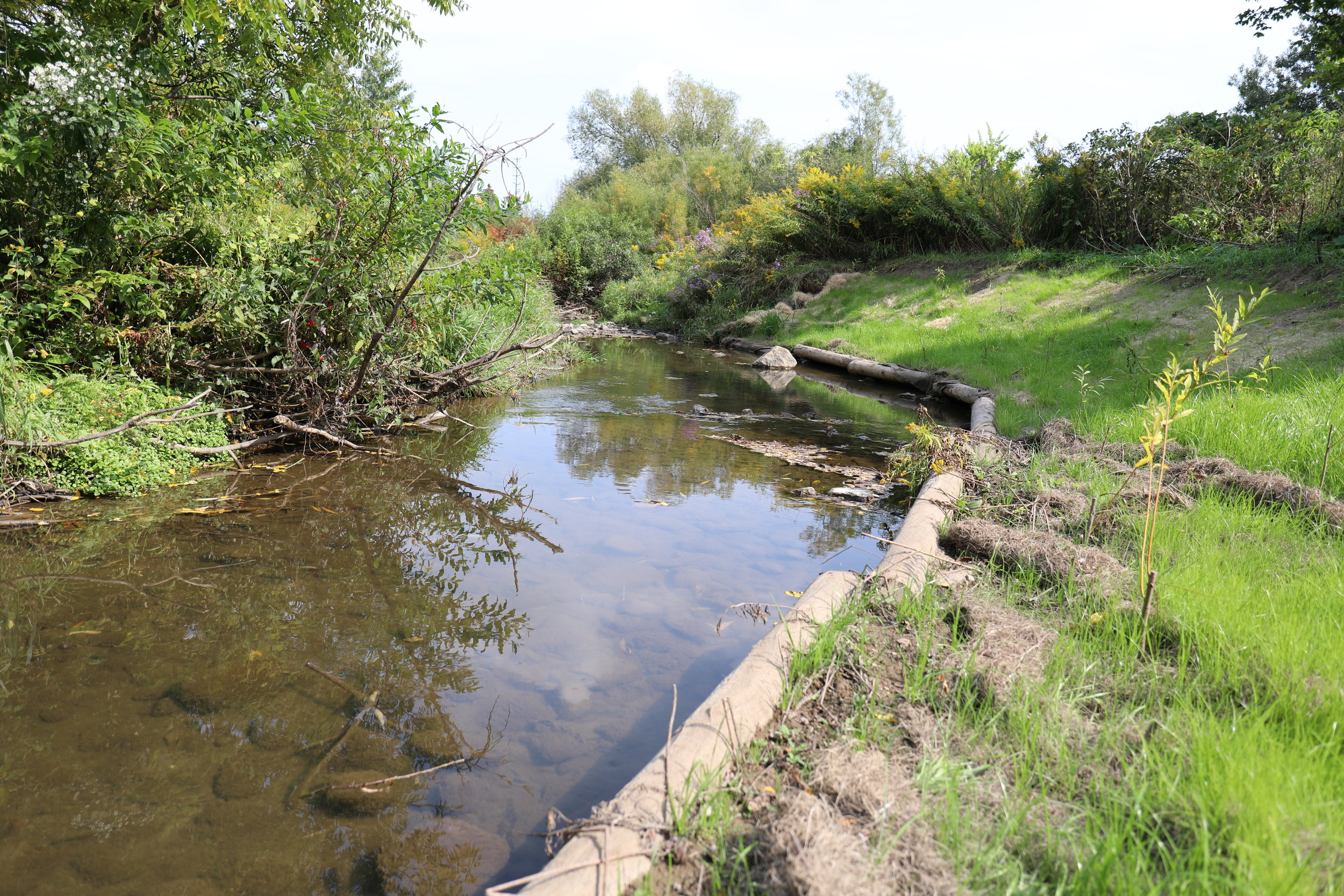 Fletcher's Creek Restoration Work - 2017