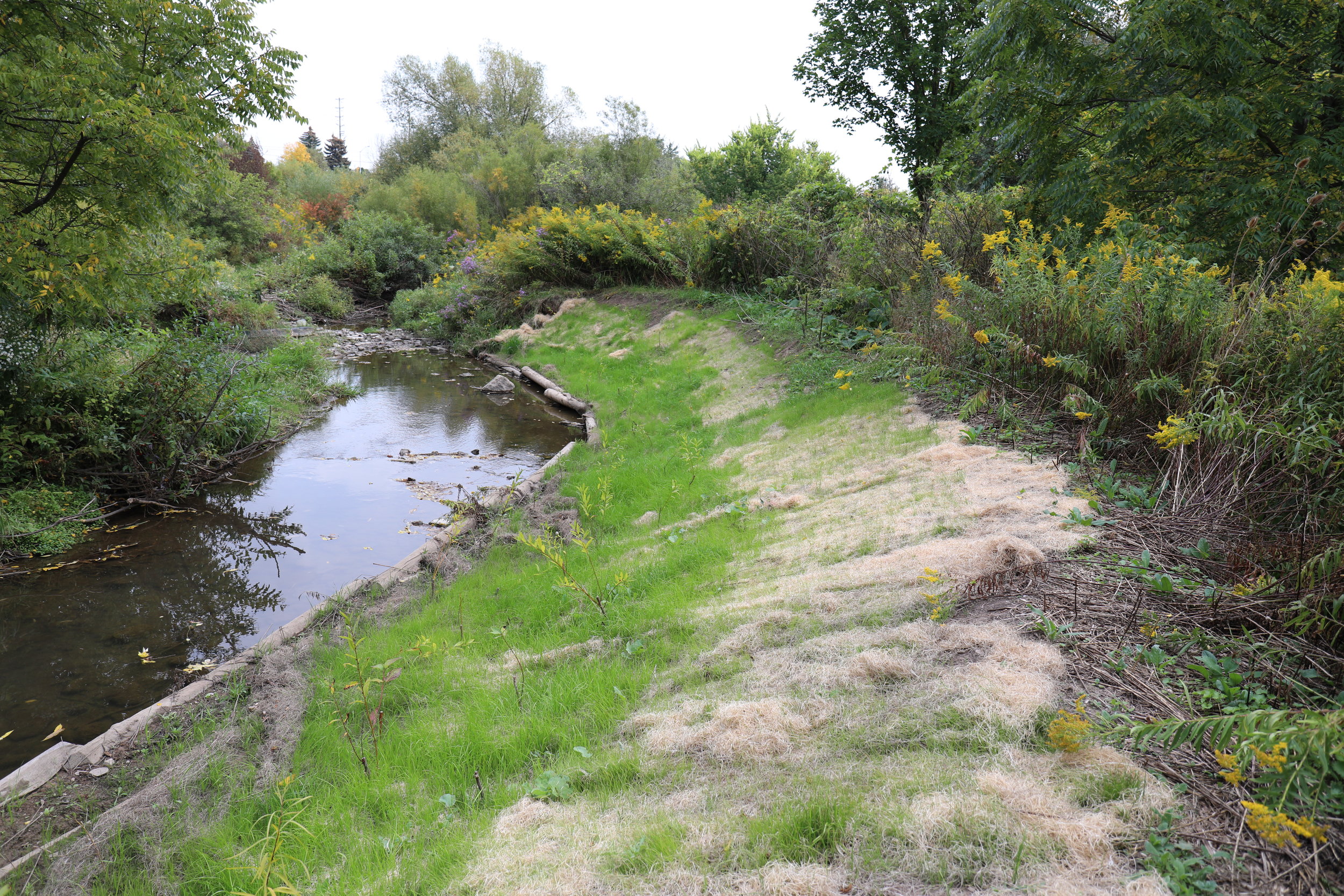 Fletcher's Creek Restoration Work - 2017