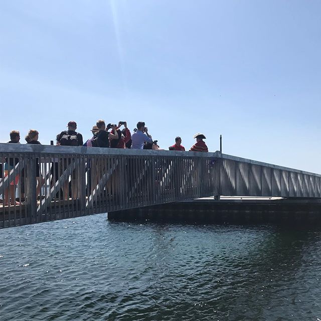 Ribbons have been cut! Breakwater Park is open. #swimdrinkfish