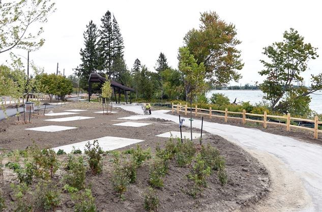 Pickering - Photo 6 - Plantings and pathway in progress.jpg