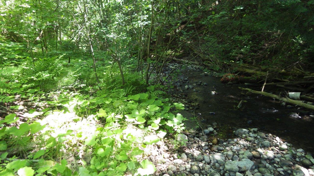 20180719_045.jpg