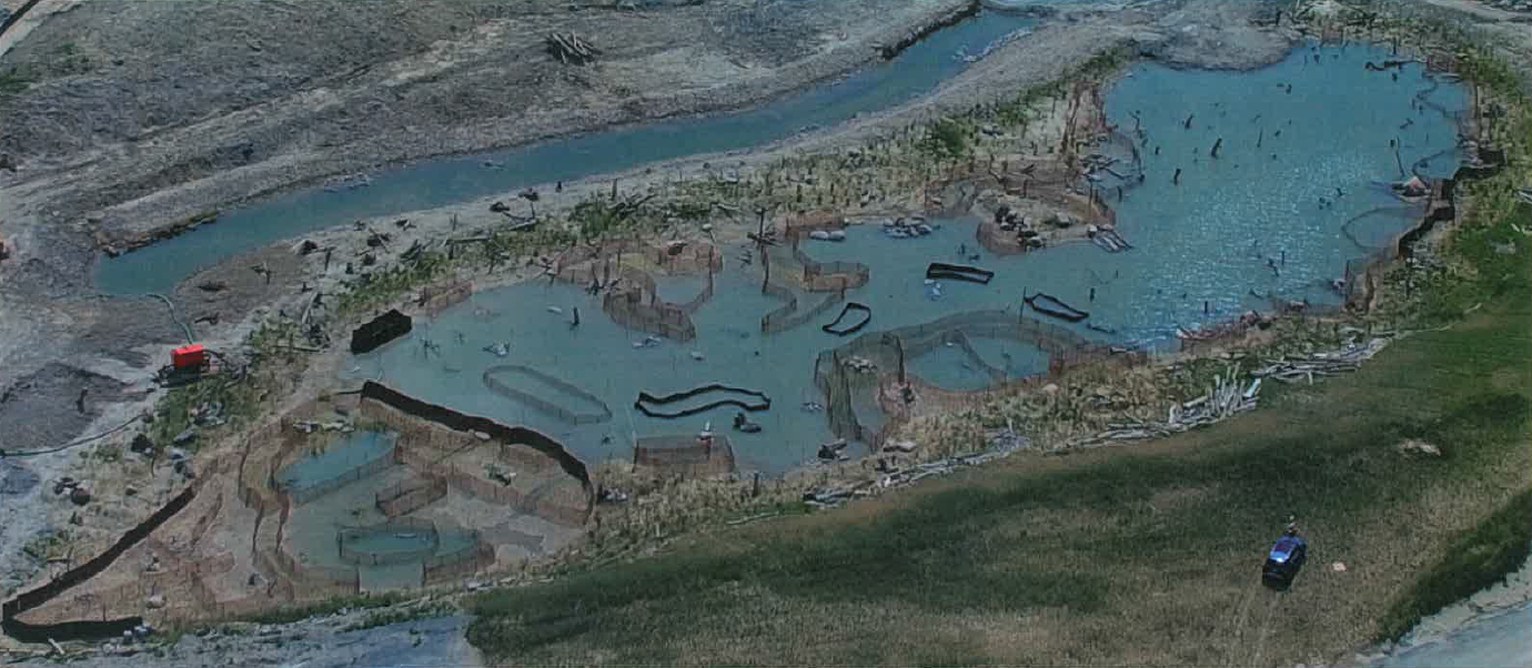 The West Family Swim Drink Fish Great Lakes Challenge - Waterfront Wetland Creation - Figure 7.png