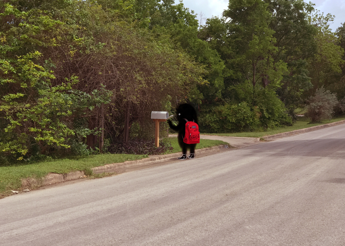 π You've got (no) mail.