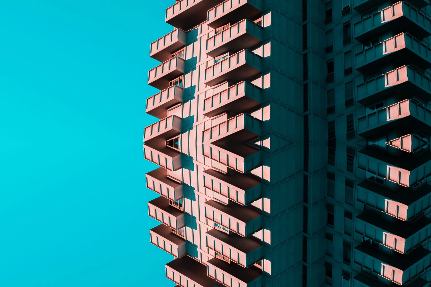 Inception