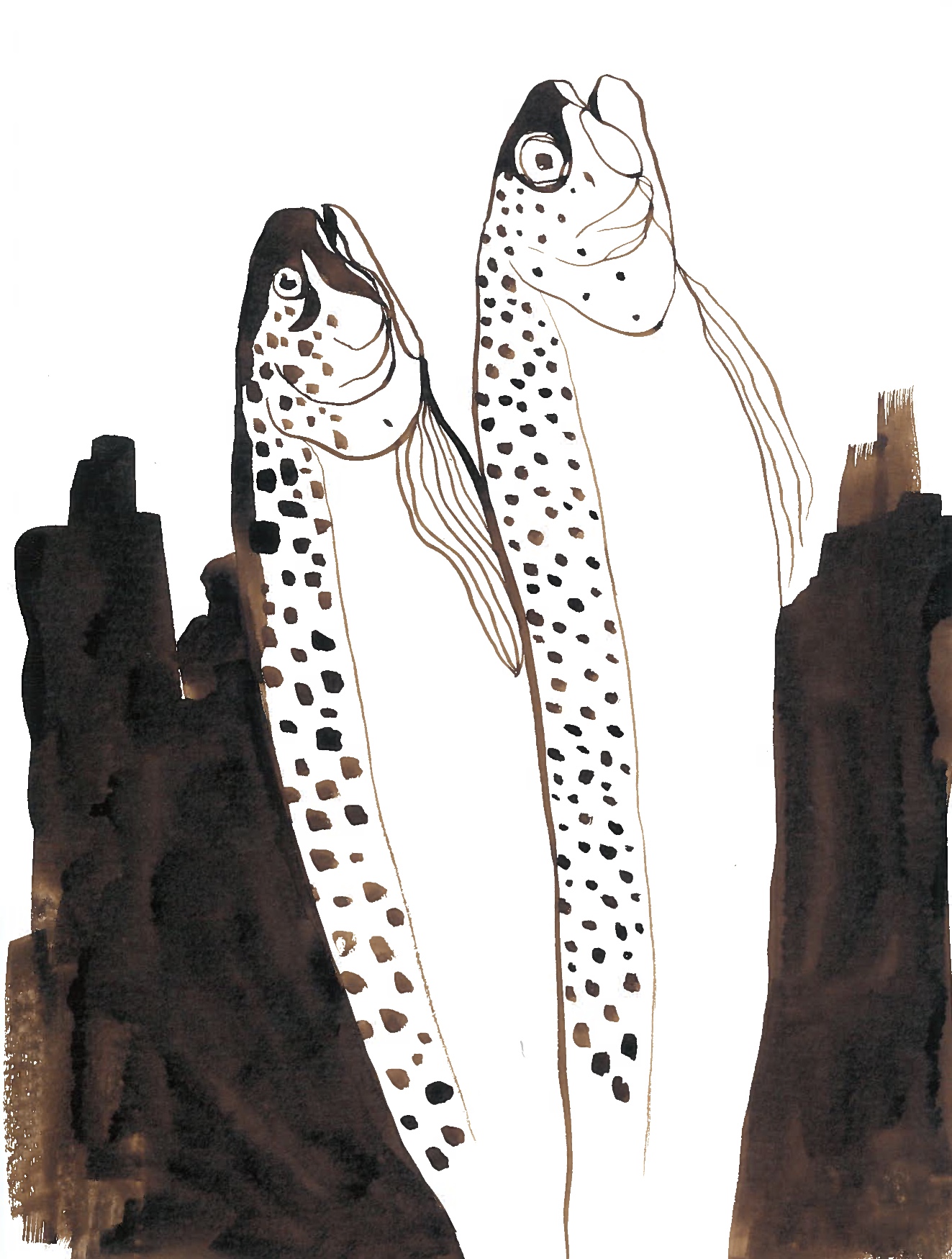 rapid dead fish ink painting - august, 2018