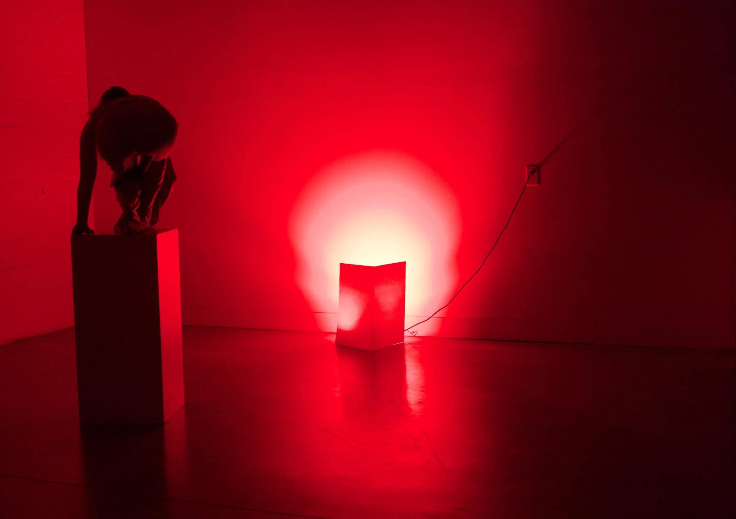 Kimathi Moore + Amy Hamilton, Warp & Woof I