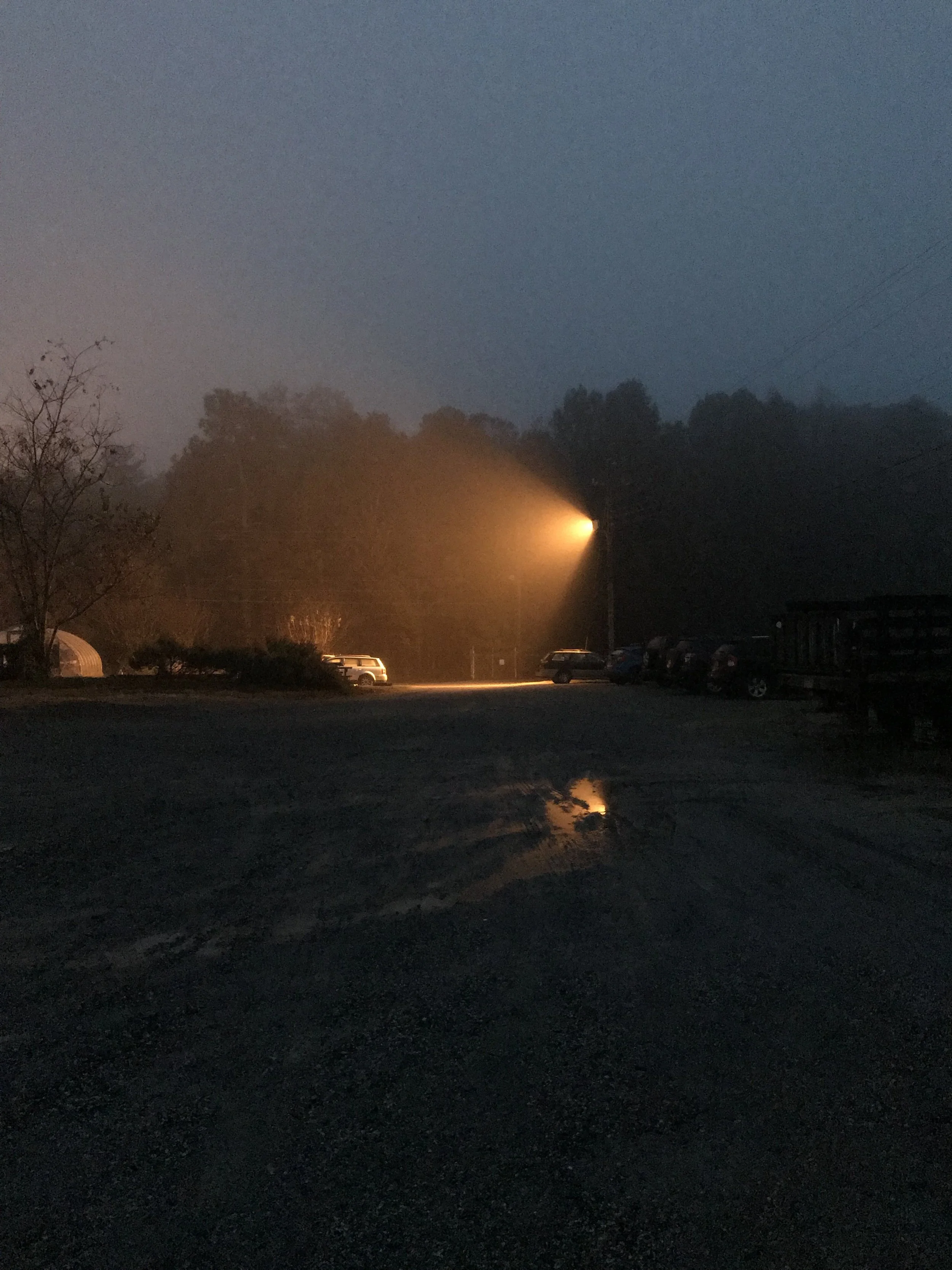 complimentary moody outdoor shot
