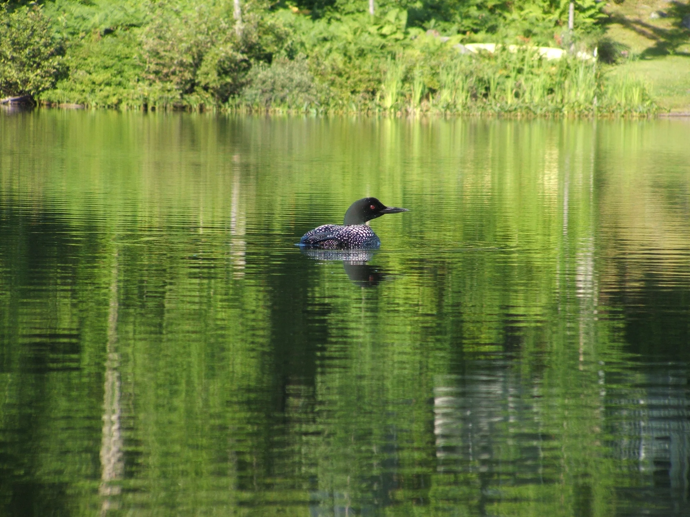 DSCF2652.JPG