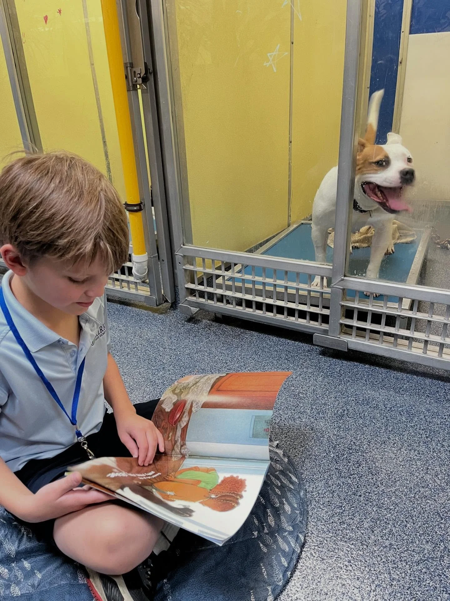 Third grade recently took a field trip to the Humane Society, where they crafted dog toys, explored the facility, read to dogs to socialize them, and visited lots of other animals ready for adoption. Such a sweet way to learn and give back!