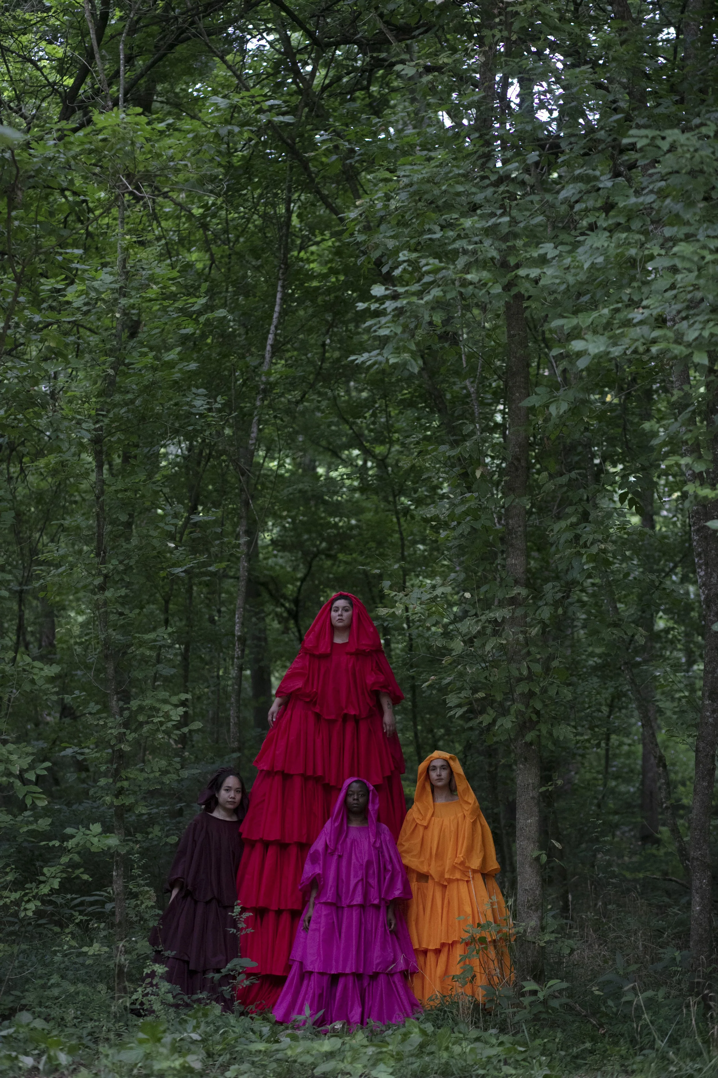 The Understory_01.JPG