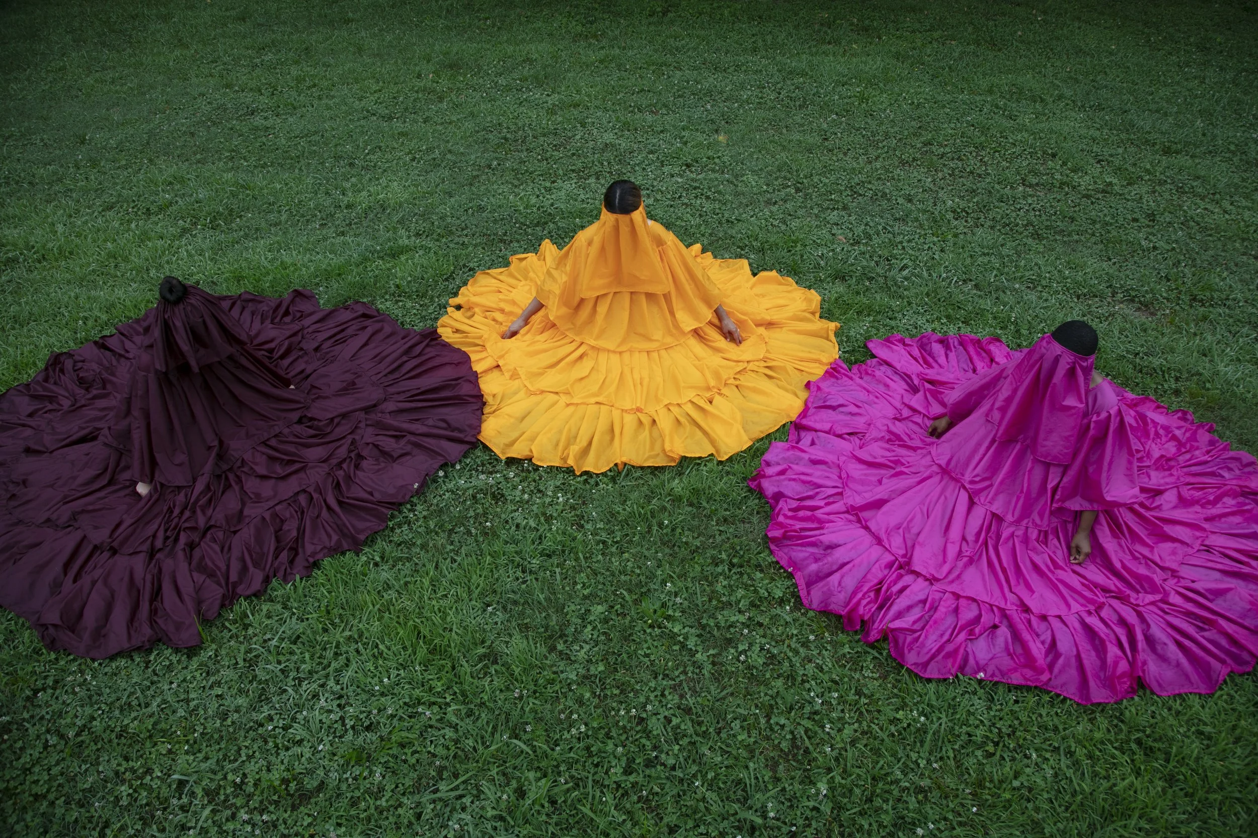 The Understory_03.JPG