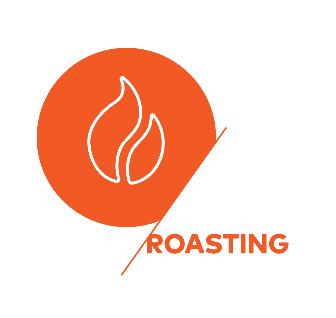 CSP icons v2 artwork roasting _orange.png