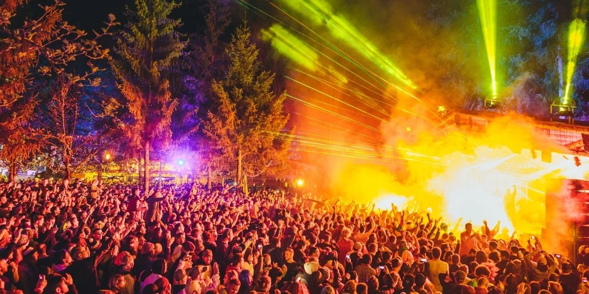 SNOWBOMBING.jpg