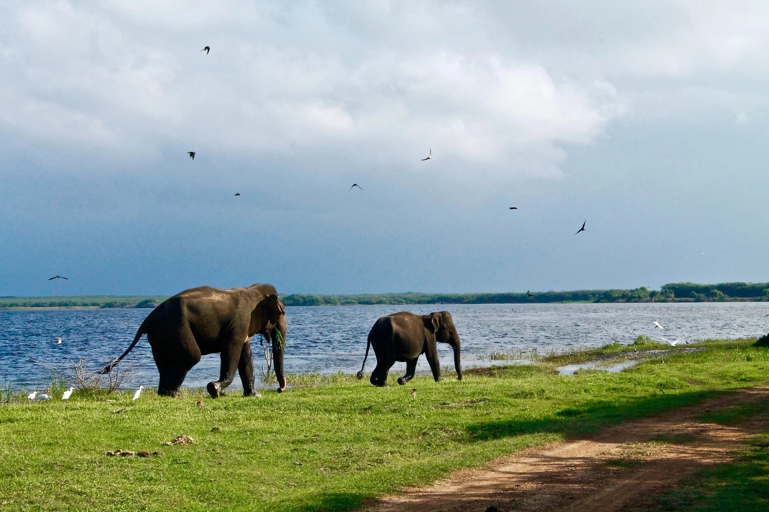 9 Sri Lanka.jpg