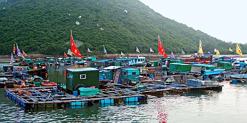 8 Lamma fishin village a.jpg
