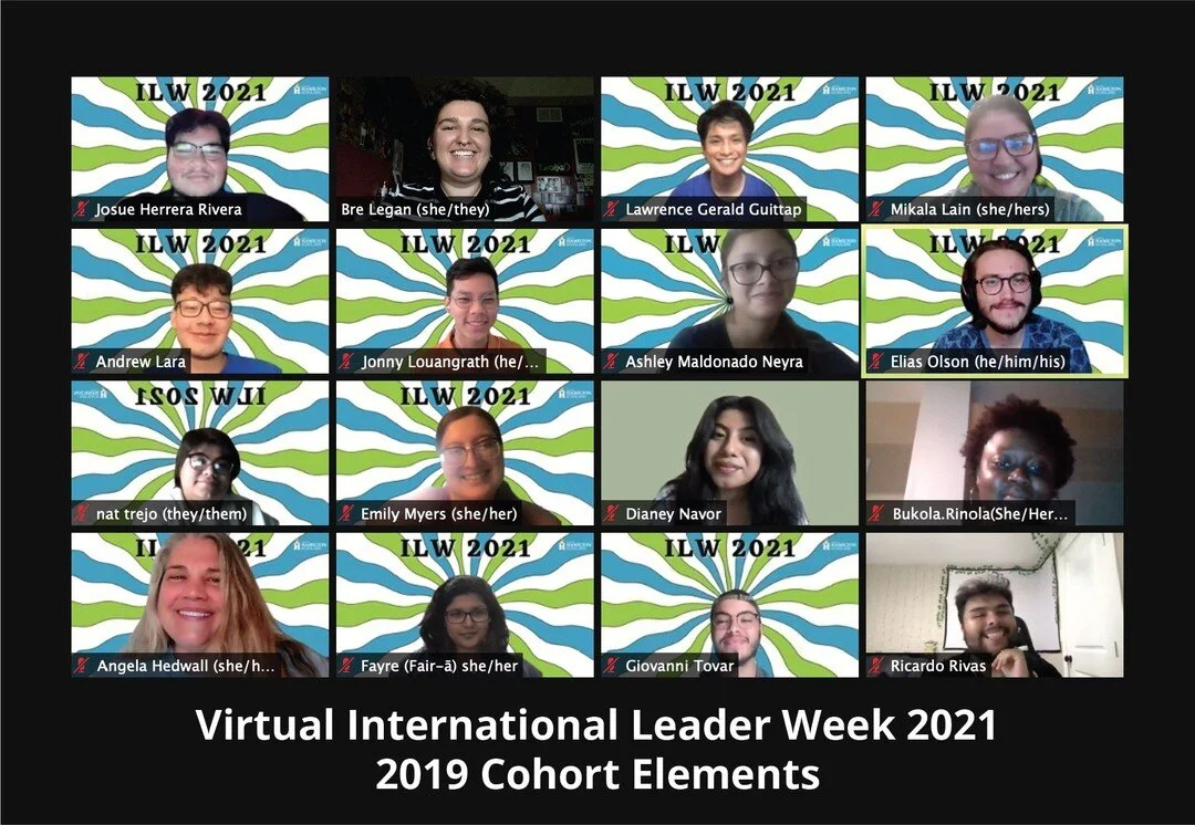 During Virtual International Leader Week earlier this month, the 2019 Hammies revisited the Empowerment Toolkit and worked on refining their Element. We invite you to take a look at their Elements and comment your own below!

[IMAGE: 1: Zoom screensh