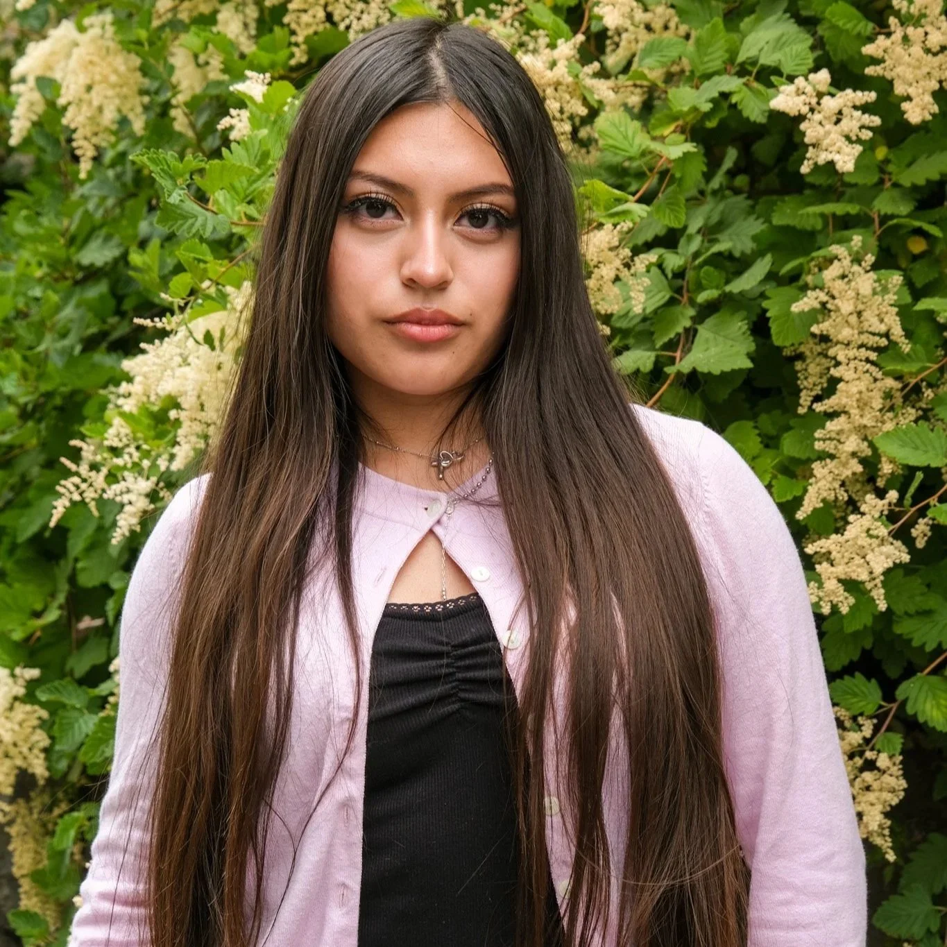 Allison Limon | Houston, TX